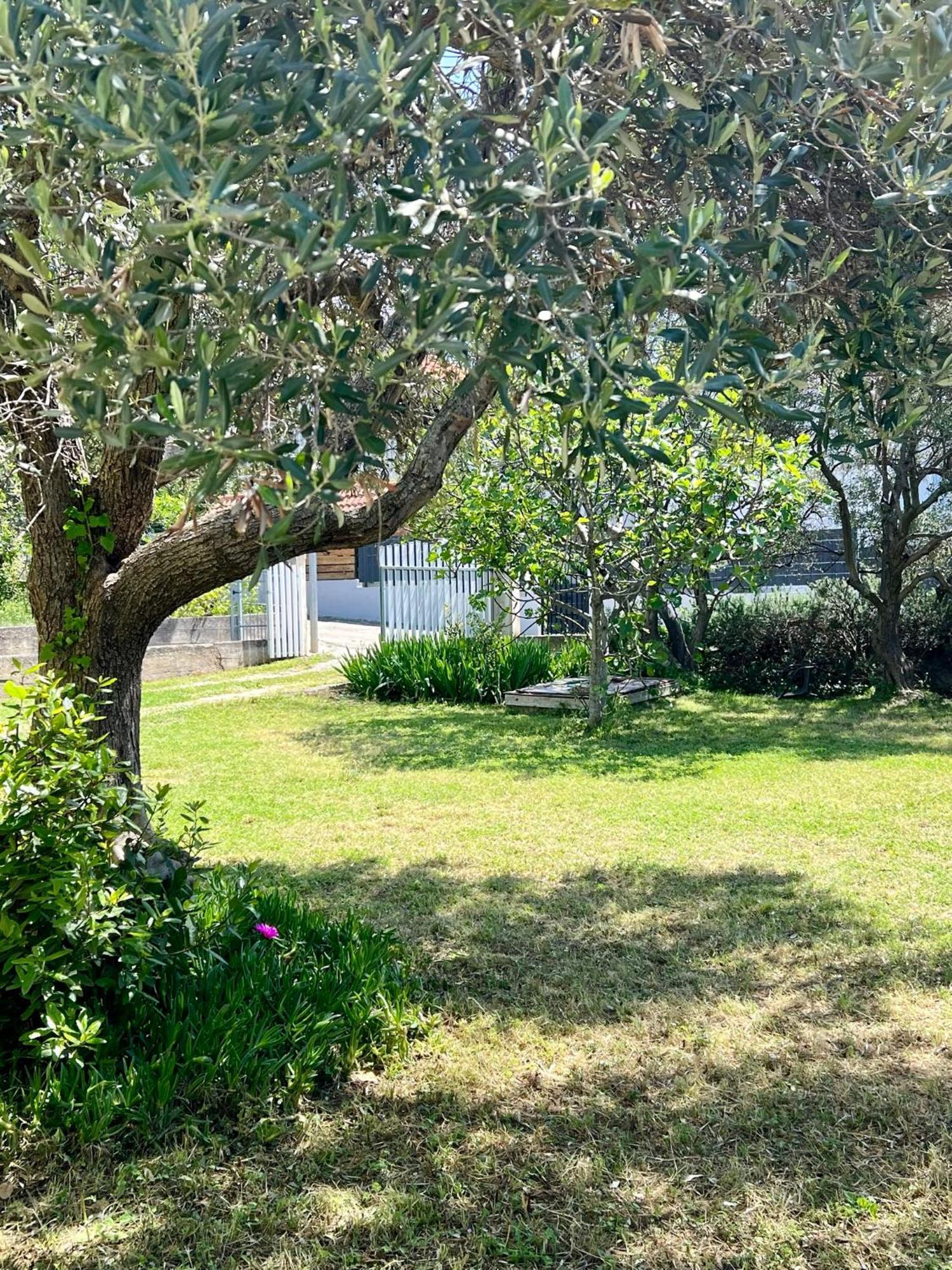 Apartments Monika Bibinje Dış mekan fotoğraf