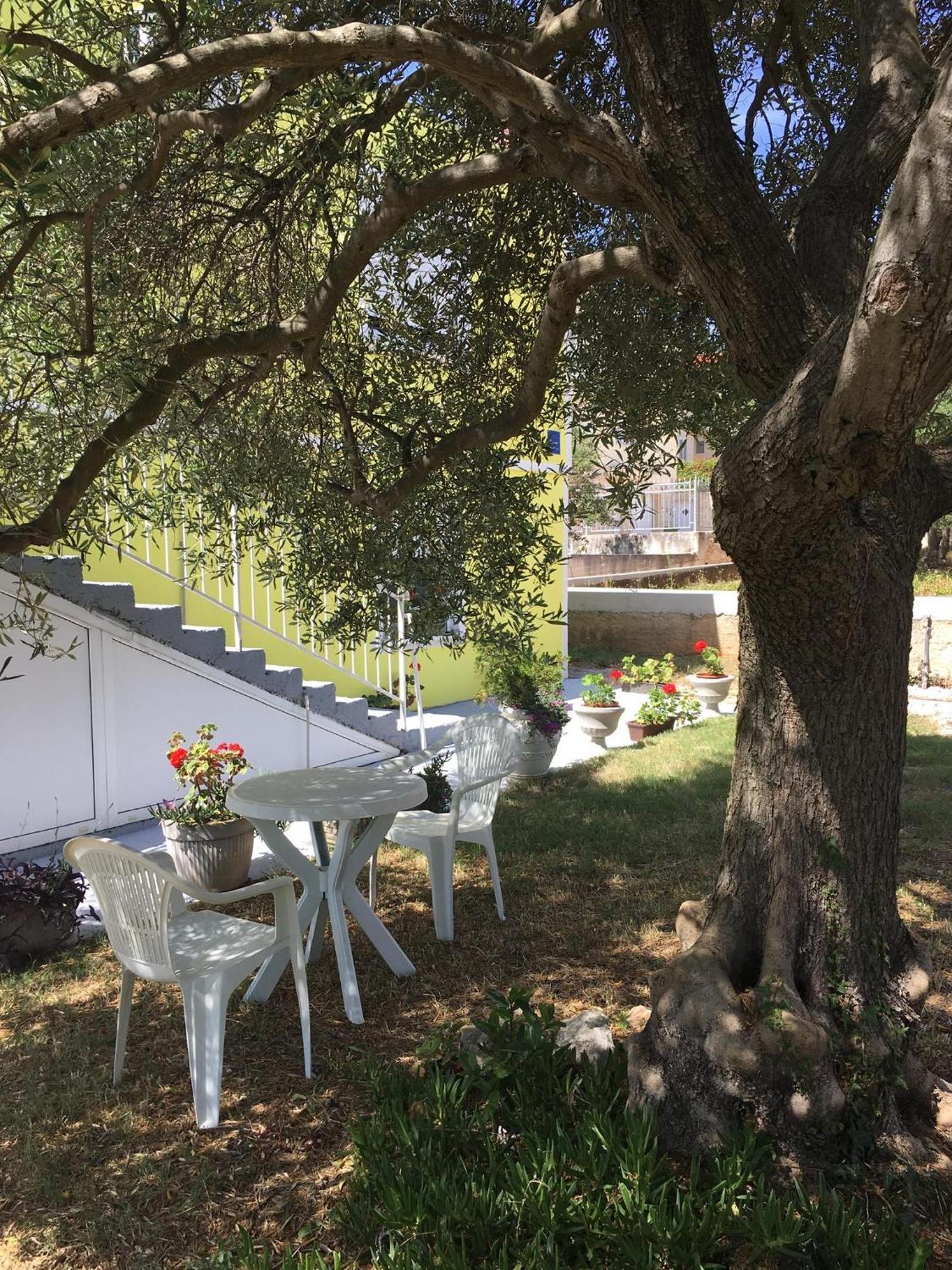 Apartments Monika Bibinje Dış mekan fotoğraf