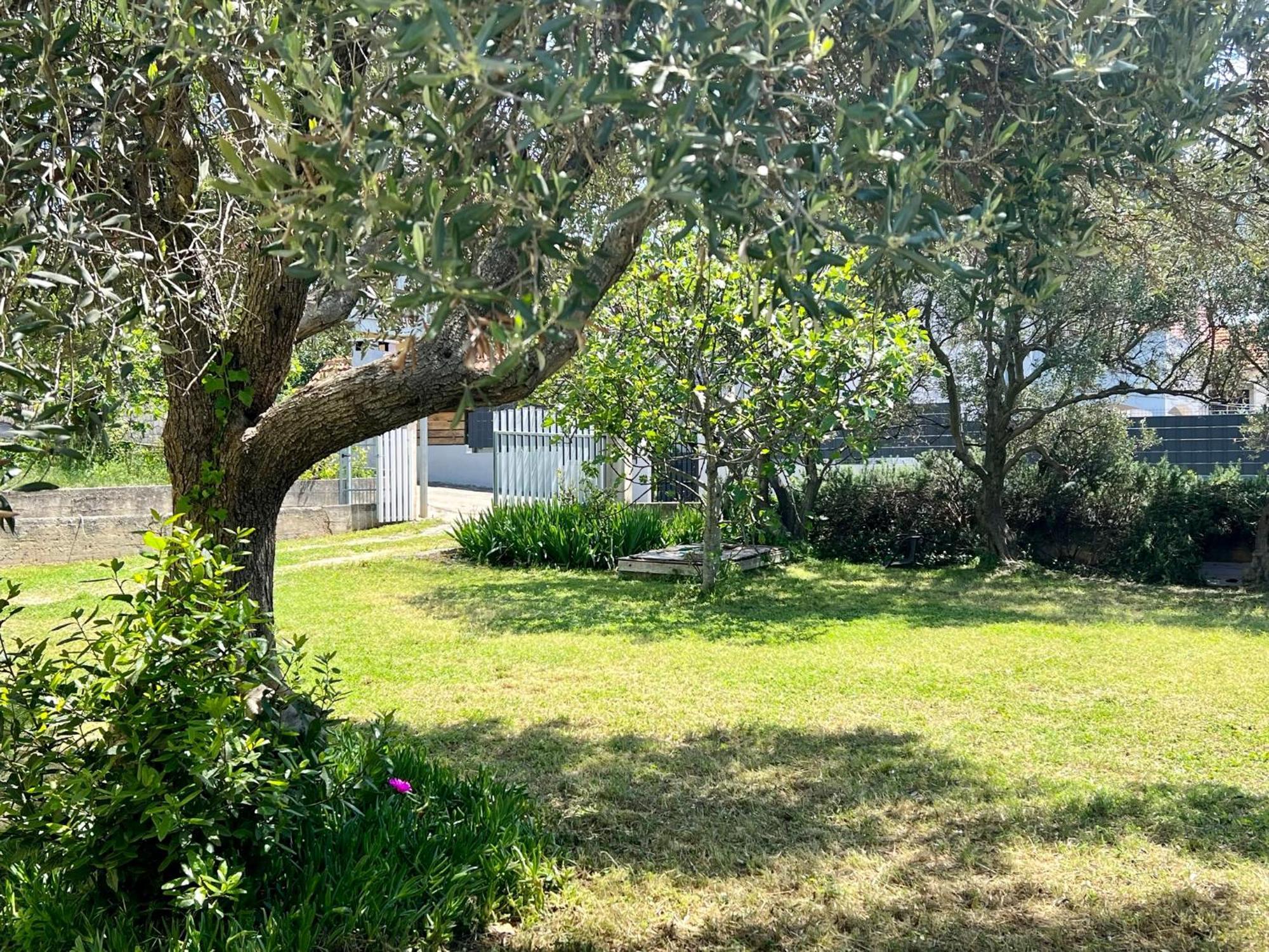 Apartments Monika Bibinje Dış mekan fotoğraf