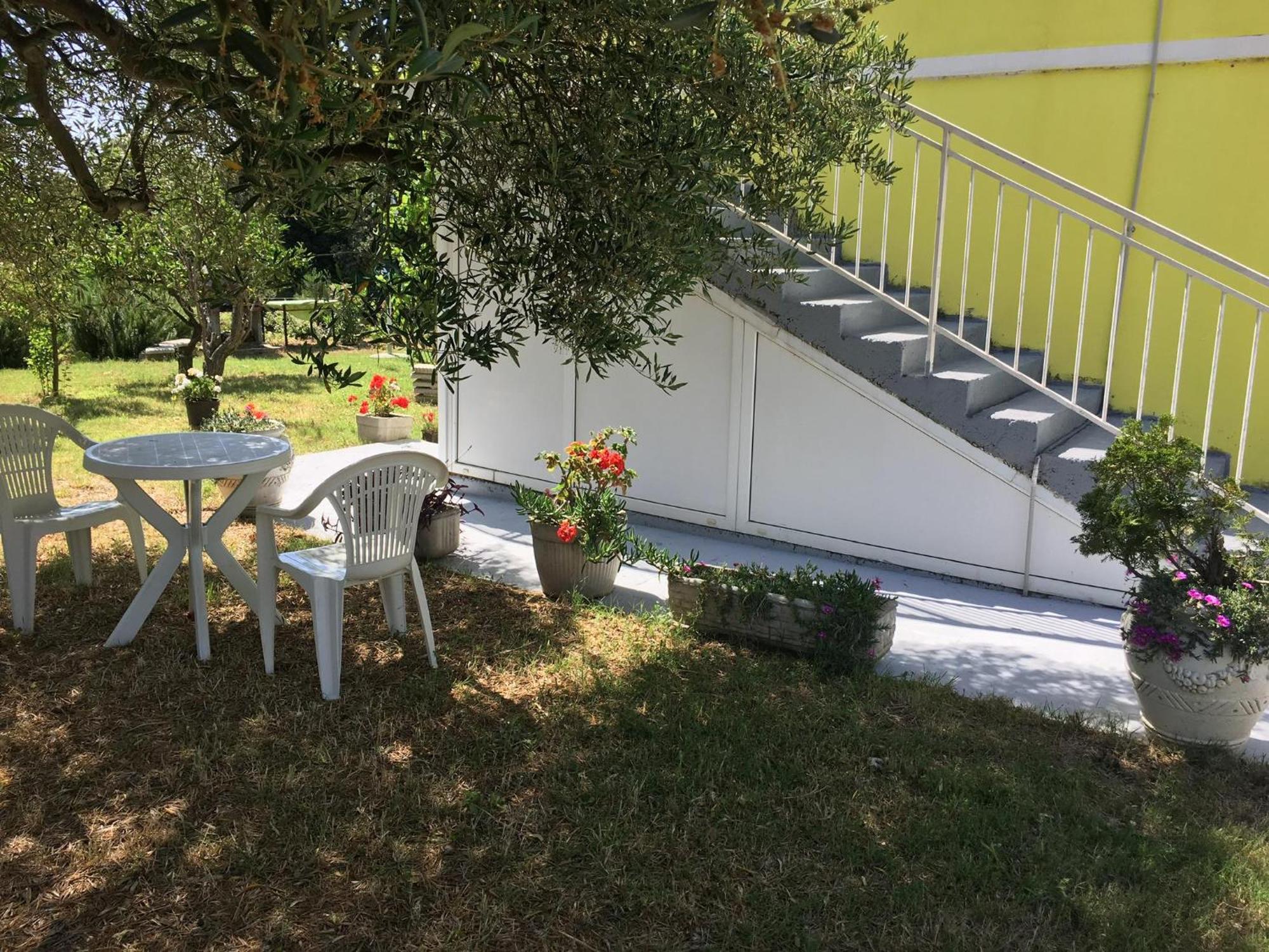 Apartments Monika Bibinje Dış mekan fotoğraf
